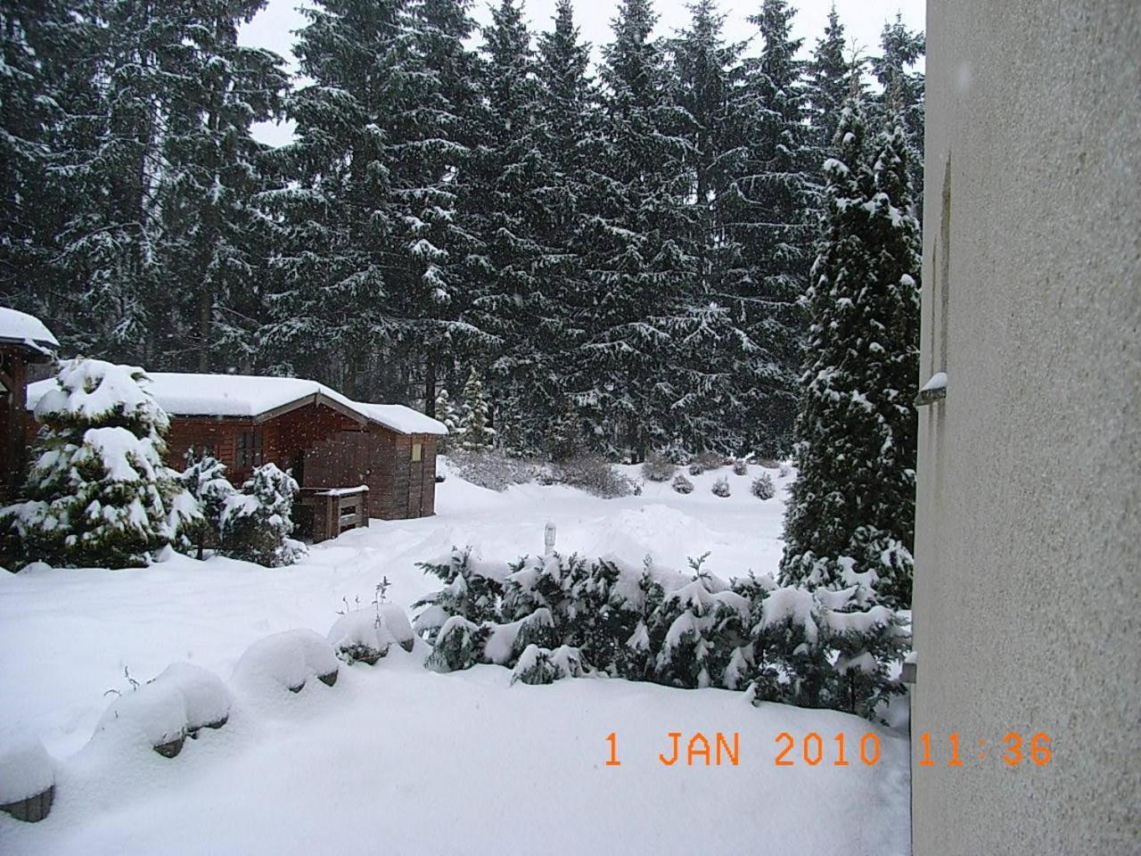 Aparthotel Blechleppel - Die Pension im Harz Benneckenstein Exterior foto